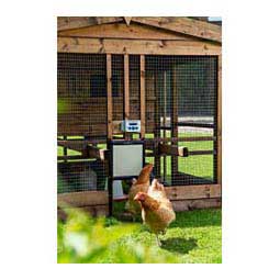 Automated Chicken Coop Door Opener Premium Item # 47457