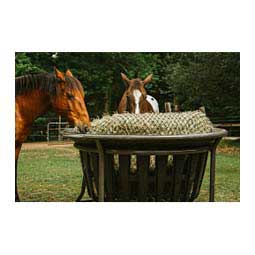 Hay Net Kit for Tarter Hay Basket Item # 47504