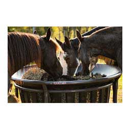 Hay Net Kit for Tarter Hay Basket Item # 47504