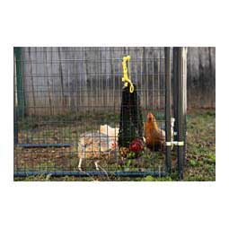 Poultry Busy Bag Item # 47506