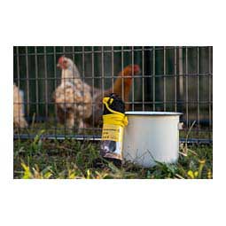 Poultry Busy Bag Item # 47506