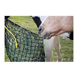 Small Hay Net Item # 47507