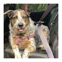 MuTTravel Dog Seat Belt Clip Item # 47532