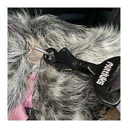 MuTTravel Dog Seat Belt Clip Item # 47532