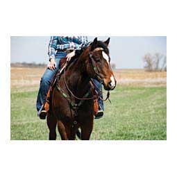 Cactus Country 5/8-in Browband Item # 47583