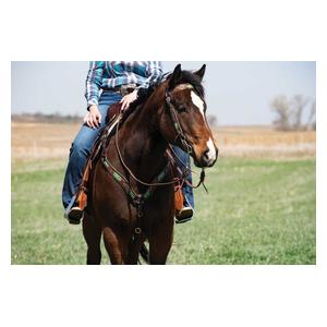 Cactus Country 5/8-in Browband Item # 47583