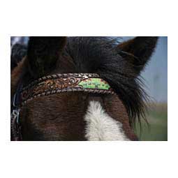 Cactus Country 5/8-in Browband Item # 47583