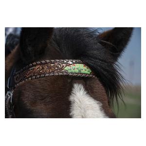 Cactus Country 5/8-in Browband Item # 47583