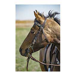 Sunflower Buckstitch 5/8" Browband Item # 47588