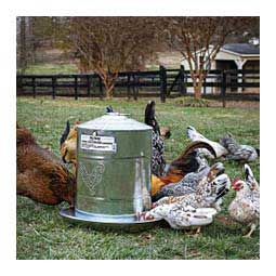 Poultry Free Range Galvanized Double Wall Drinker Item # 47733