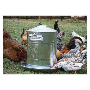 Poultry Free Range Galvanized Double Wall Drinker Item # 47733