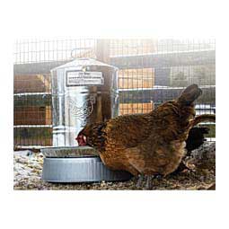 Poultry Free Range Galvanized Double Wall Drinker Item # 47734