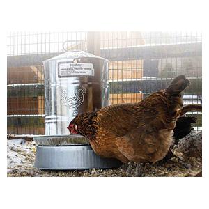 Poultry Free Range Galvanized Double Wall Drinker Item # 47734