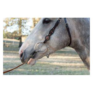 Martha Josey-Mitchell Short Shank Horse Bit 0119-8000 Item # 47845