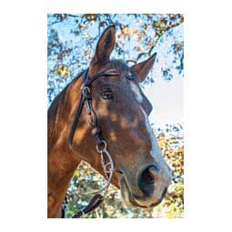 Martha Josey-Mitchell Skinny Arch Lift Horse Bit 0119-1000 Item # 47848