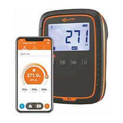 W-0 Weigh Scale Item # 47891