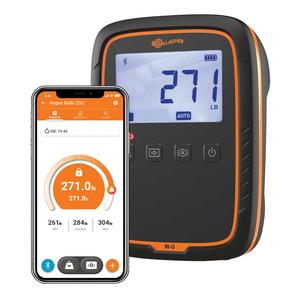 W-0 Weigh Scale Item # 47891