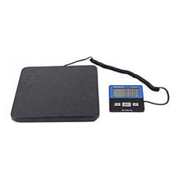 PS150 Slimline Bench Scale Item # 47945