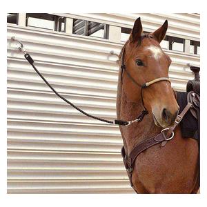 Triple Shock Cord Horse Tie Item # 48146