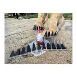 Black w/ Rubber 11 Finger Tab for Easyshoe Horse Boots Item # 48206