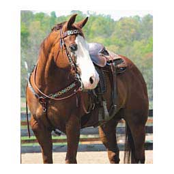 Turquoise Cross Aztec 5/8-in Browband Headstall Item # 48480