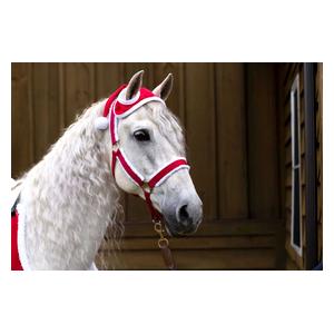 Santa Hat for Horses Item # 48501