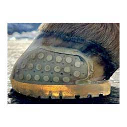 EasyShoe Versa Grip Glue Horseshoe - Front Pair Item # 48686