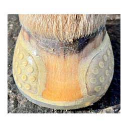 EasyShoe Versa Grip Glue Horseshoe - Hind Pair Item # 48687