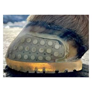 EasyShoe Versa Glue Hind Horseshoes Item # 48687