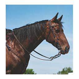 Dusty Floral 5/8" Browband Item # 48694