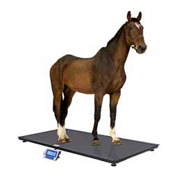 Platform Scale PS3000-LCD Item # 48794