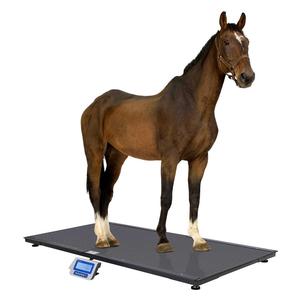 Platform Scale PS3000-LCD Item # 48794
