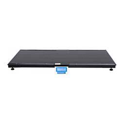 Platform Scale PS3000-LCD Item # 48794