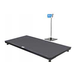 Platform Scale PS3000-LCD Item # 48794
