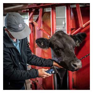 Eclipse Cordless Clipper for Livestock Item # 49280