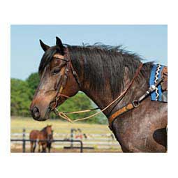 Floral Buckstitch Browband Headstall Item # 49736