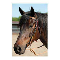 Floral Buckstitch Browband Headstall Item # 49736