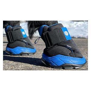 Easyboot Rx2 Horse Hoof Boot Item # 50108