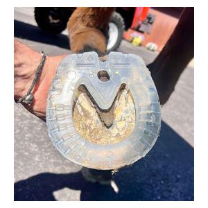 EasyShoe Speed Hind Horseshoes Item # 50141