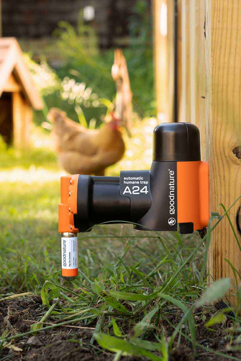 Goodnature A24 Starter Trap Kit