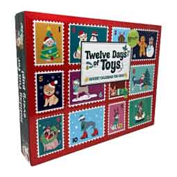 Twelve Days of Toys - Advent Calendar for Dogs Steel Dog