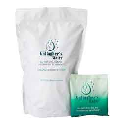 Gallagher's Water for Horses 12-Pack Item # 50781