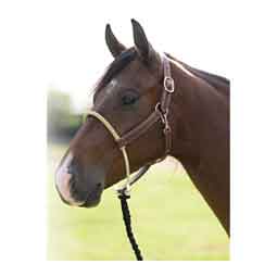 Leather Ranch Horse Halter with Rawhide Nose Item # 50816