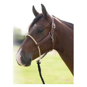 Leather Ranch Horse Halter with Rawhide Nose Item # 50816