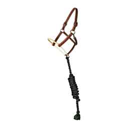 Leather Ranch Horse Halter with Rawhide Nose  Professional's Choice