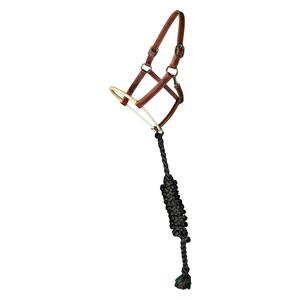 Leather Ranch Horse Halter with Rawhide Nose Item # 50816