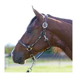 Heritage Rawhide Braid Horse Halter Item # 50817