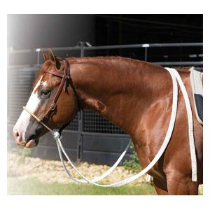 Loping Hackamore with Rawhide Nose for Horses Item # 50820