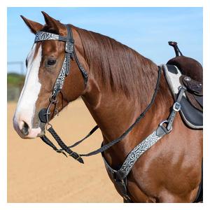 Paisley 5/8-in Swell Cheek Browband Horse Headstall Item # 50841