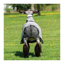 Ewe Canvas Blanket w/ High Cut Mesh Butt Item # 50985